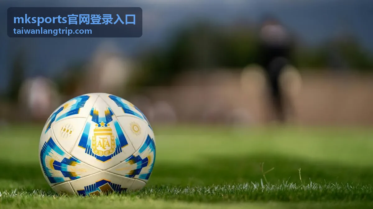 mksports官网登录入口首页展示的登录操作界面示意