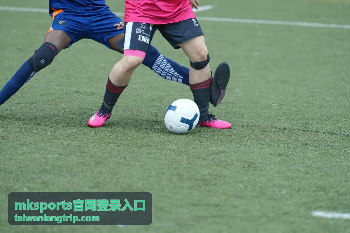 mksports官网登录入口赛事服务中的赛程与项目核对页面