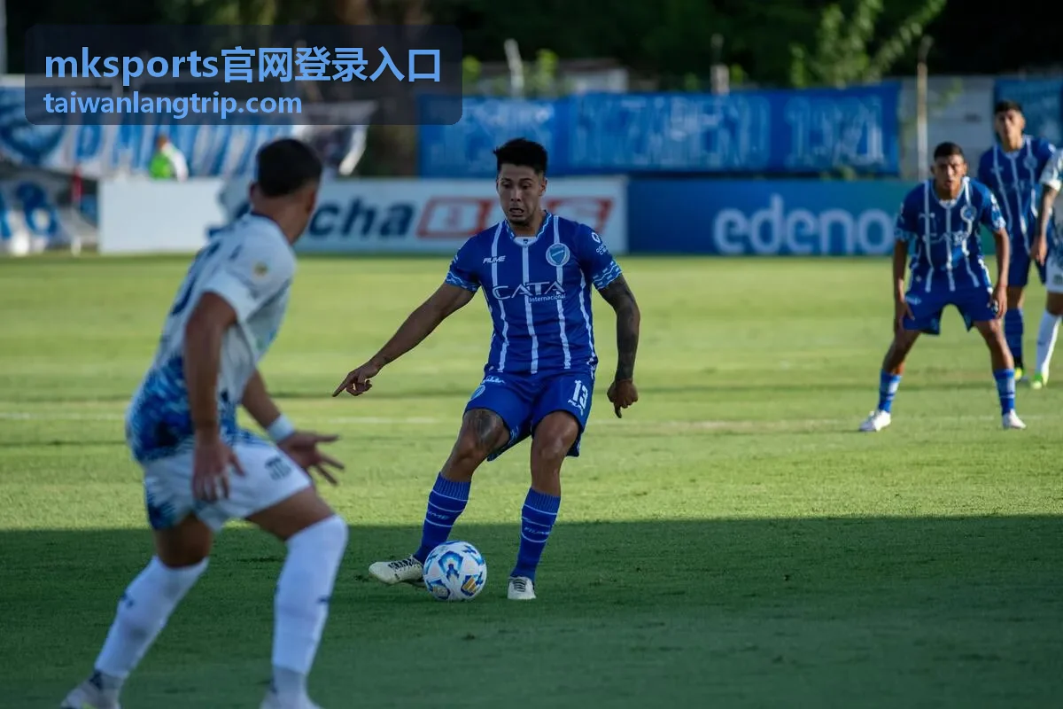 mksports官网登录入口账户安全验证与密码保护